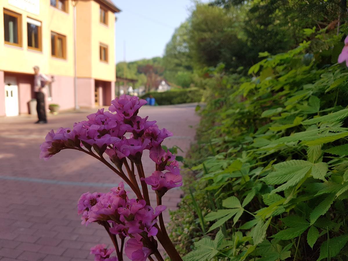 Hotel Zur Engelsburg Hausen-Wied Bagian luar foto